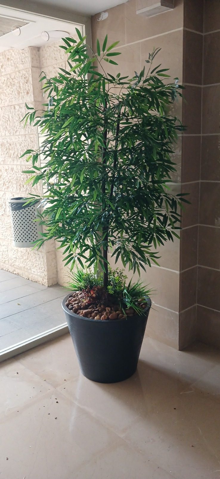 תמונה של WhatsApp_ 2024-12-01 בשעה 15.33.12_68d30074